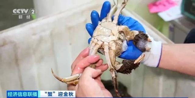 平均月入2万元！这个岗位近期缺人