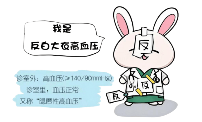 小白兔带你 揭开"隐匿"的血压秘密
