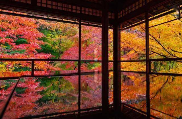 图片[3]-风向突变，第一批去日韩旅游的人，已经被“照骗”整破产了？-华闻时空