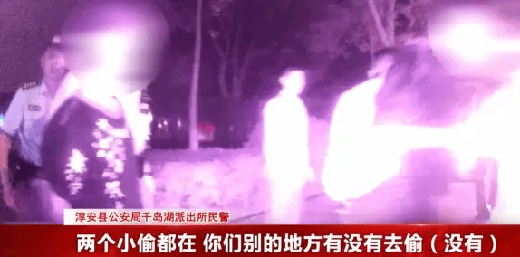 俩贼打车来杭州盗窃，一人蛮力踢飞门锁，正好砸到同伙，痛得蹲地不起，还没进门就被抓