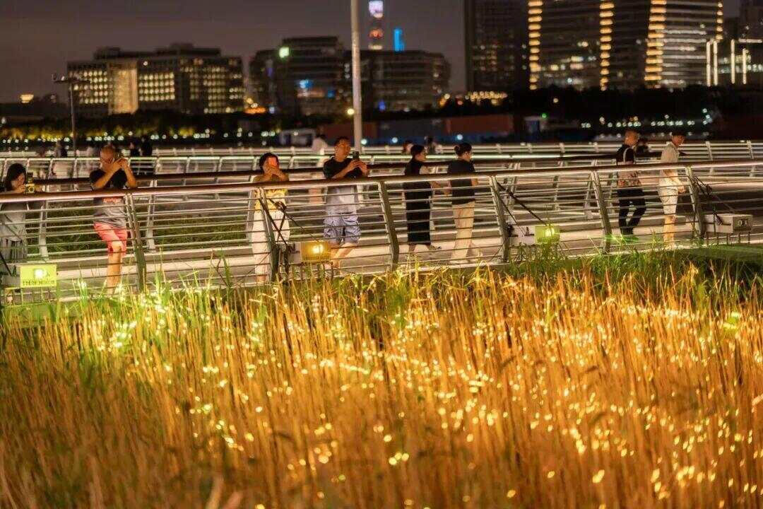 带动消费总金额10.7亿元！这些引爆全城的光影点位由这支团队打造→