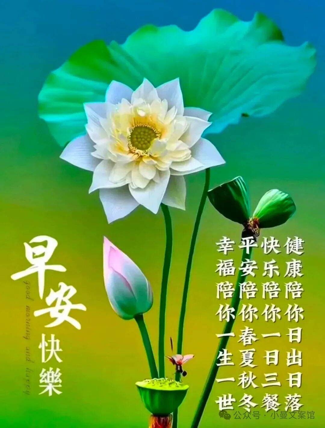 10月12日最漂亮早上好动态表情图片大全,早晨好动图美图大全