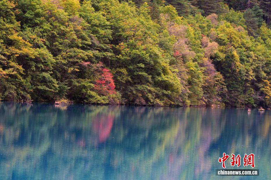 九寨沟秋景如画引游人
