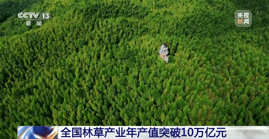 巴基斯坦利用中国技术向美赠送稀土？中方回应【看世界·新闻早知道】