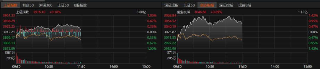 存储芯片爆发！300475，股价新高