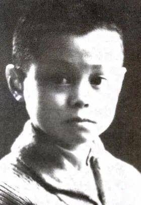 “我要拿诺贝尔奖!”杨振宁12岁少年梦想,35岁如愿以偿_毛泽东_杨武之_父母亲
