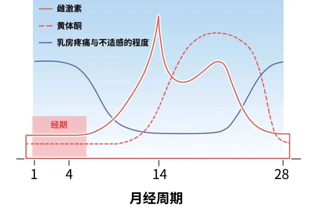 真心建议:姐妹们,没事儿多摸摸自己的胸