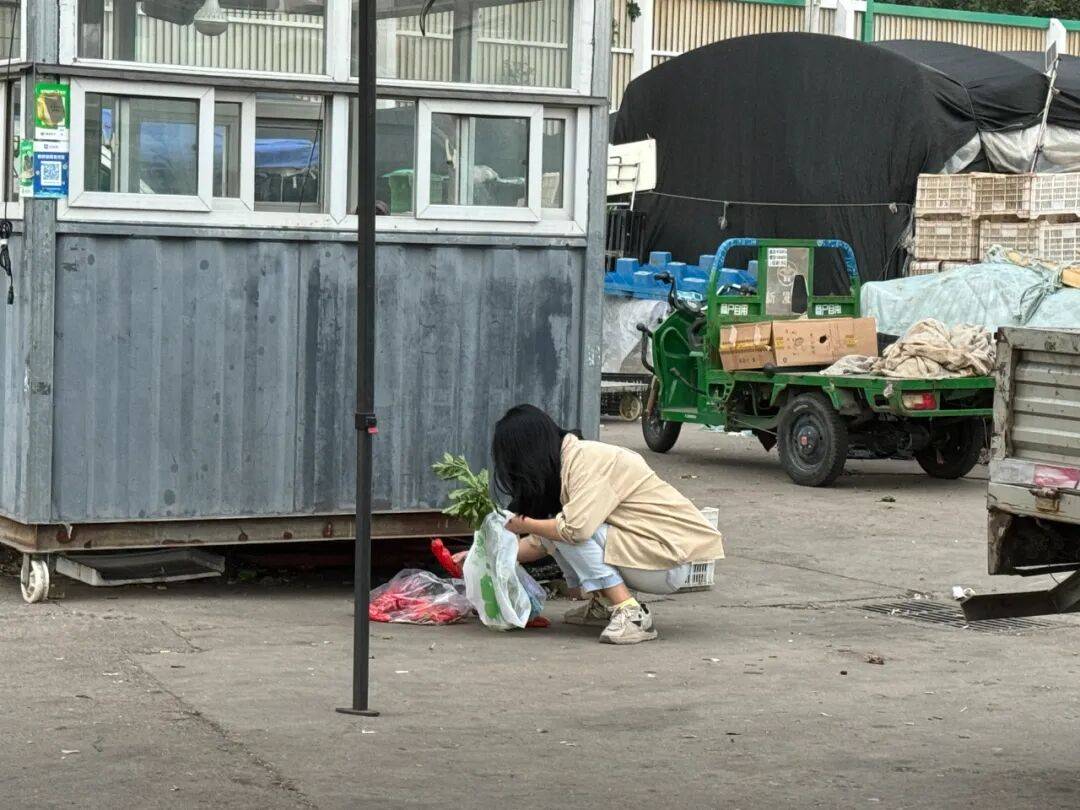 真捡菜，还是蹭流量？“一晚上七八拨捡菜的，好菜都给顺走了……”