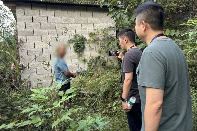 黄山一男子偷蜂巢被蜜蜂群殴！