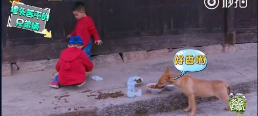 《爸爸去哪儿4》9年未解之谜破案！沙溢承认吃了狗吃过的面：发烧三天