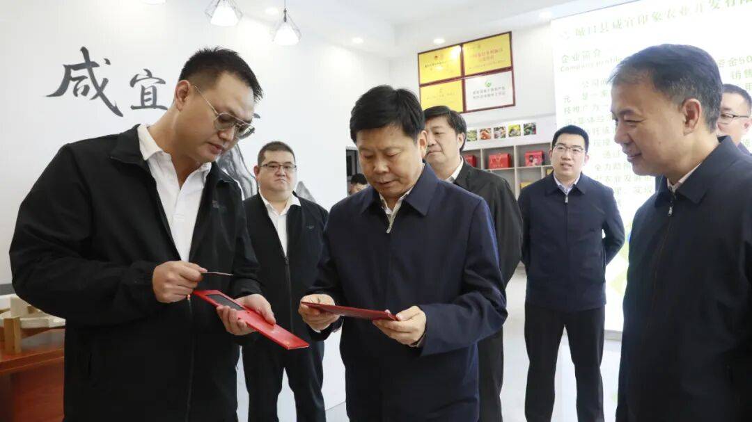 市委常委、市政府常务副市长陈新武到我县调研