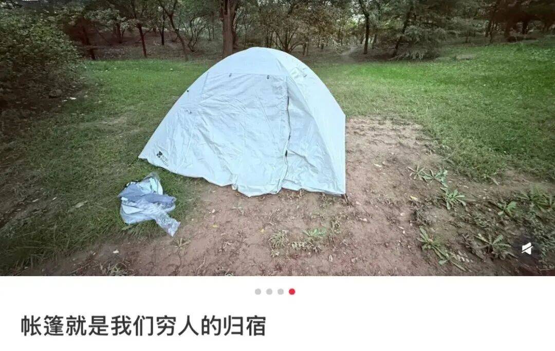 帐篷大酒店，收留了多少不想被割的年轻人