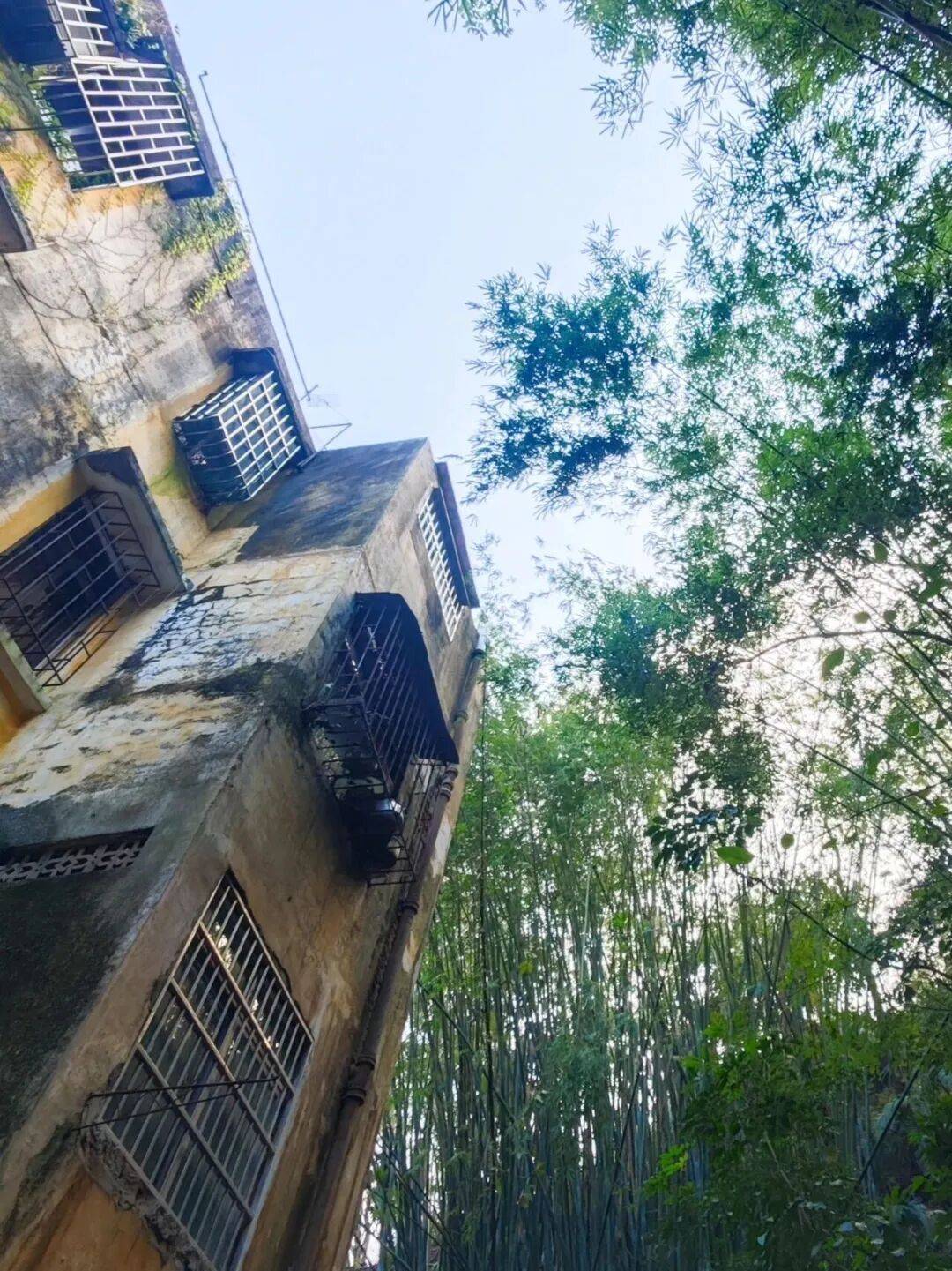 强净出击台山全域开展爱国卫生大行动