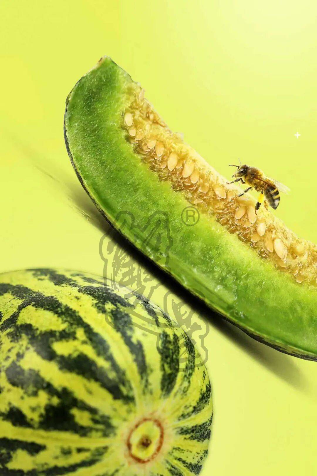 星甜一号花皮绿肉甜瓜