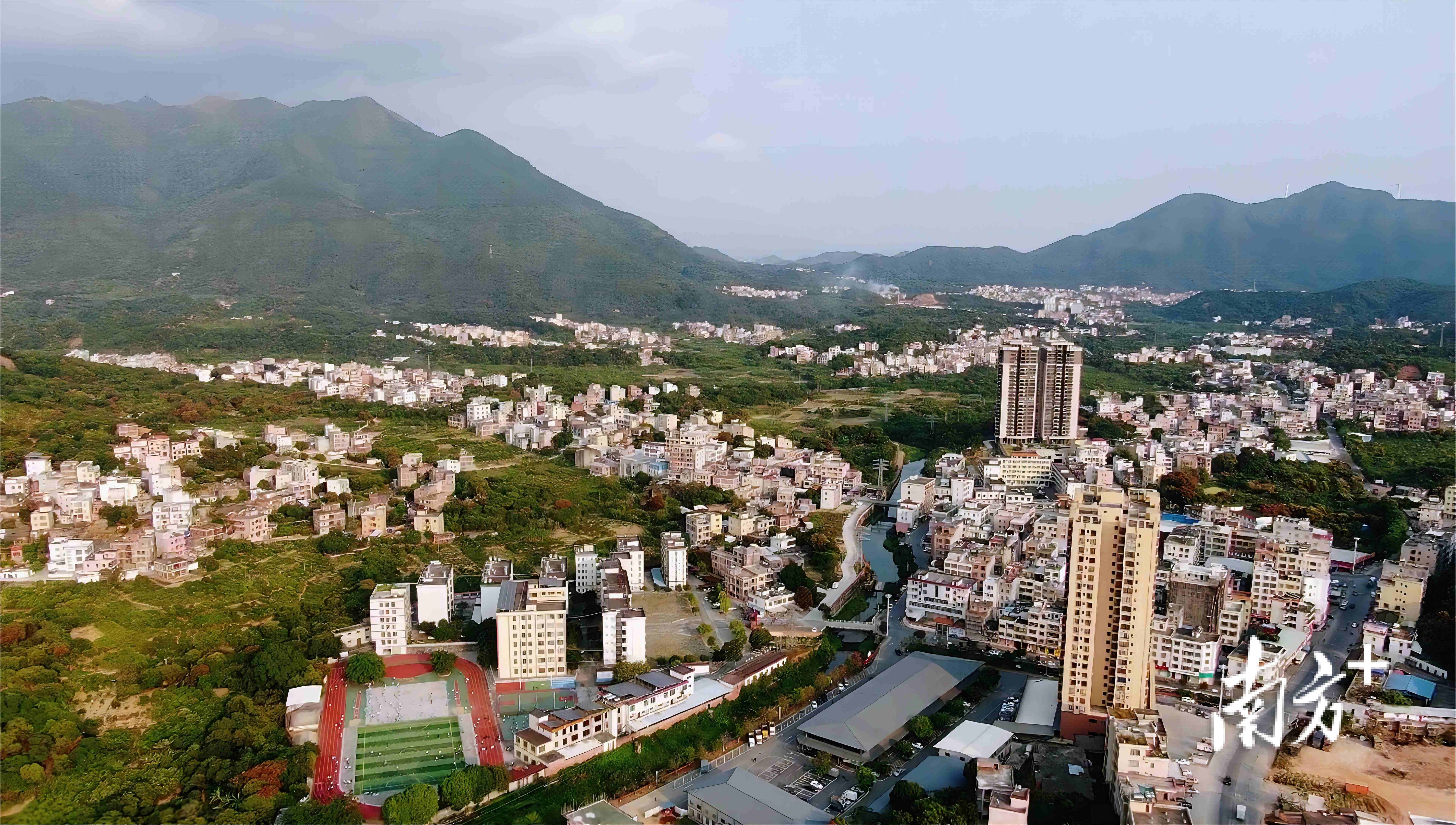 茶果小镇创业忙,高州新垌七大项目建设如火如荼