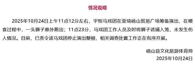 安徽一街头惊现狮子,有人拿铁锹抓捕?官方通报 安徽一街头惊现狮子,有人拿铁锹抓捕?官方通报