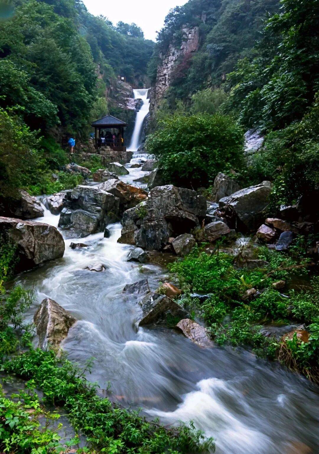 步入景区满山的枫树银杏交织成一片斑斓的海洋秋叶在阳光下熠熠