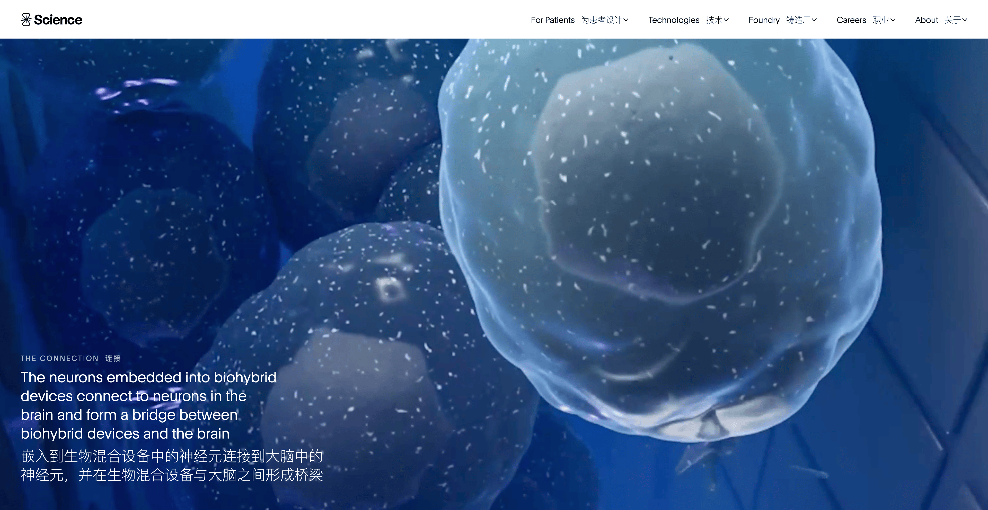 一副 AI 眼镜,让 500 万盲人有了重见光明的希望