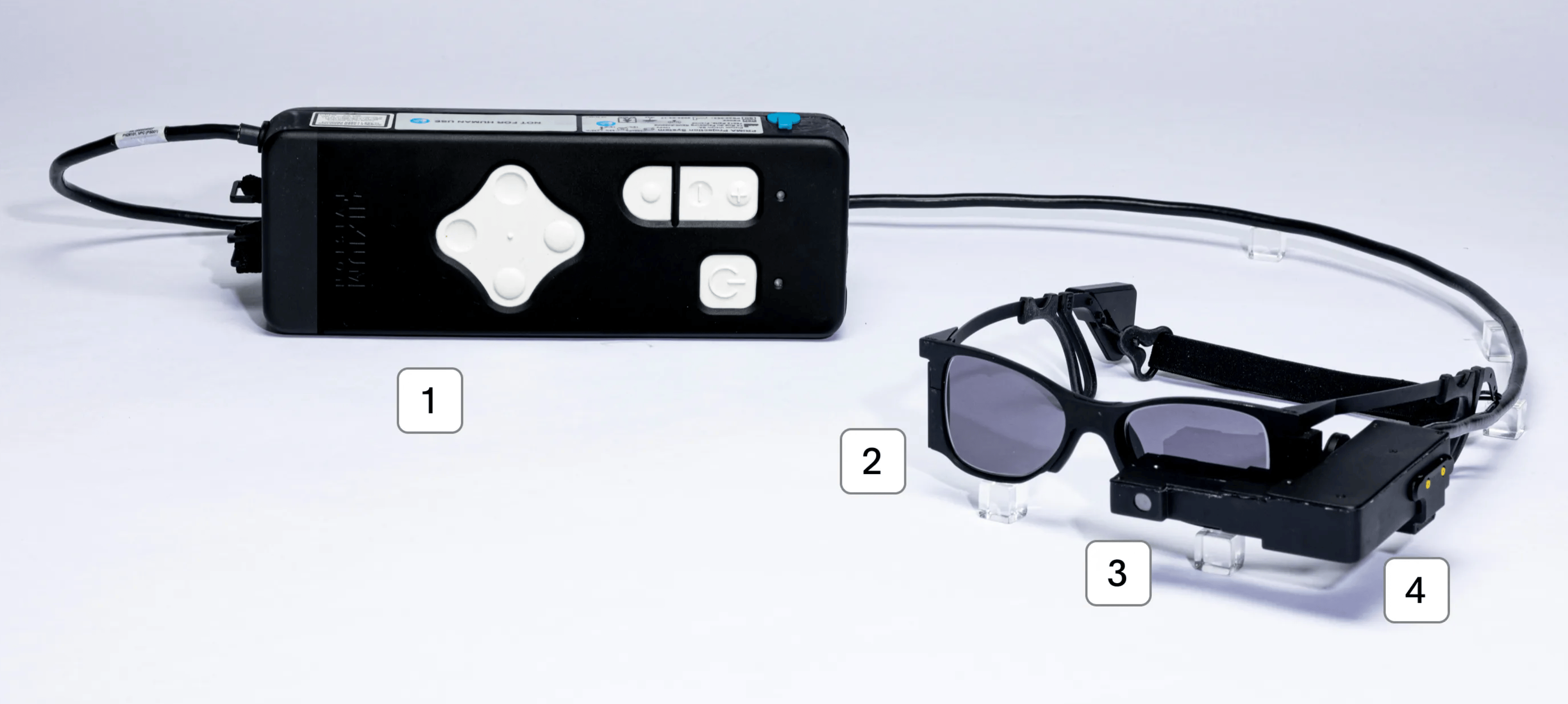 一副 AI 眼镜,让 500 万盲人有了重见光明的希望