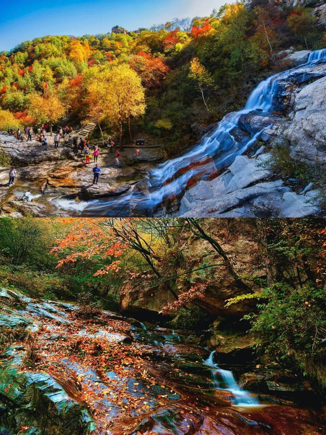 重阳节 | 来保定湖光山色+古镇烟火全都有