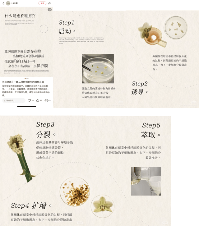 护肤品牌"LAN"产品被指备案与宣传不符:投诉已转相关部门(图2)