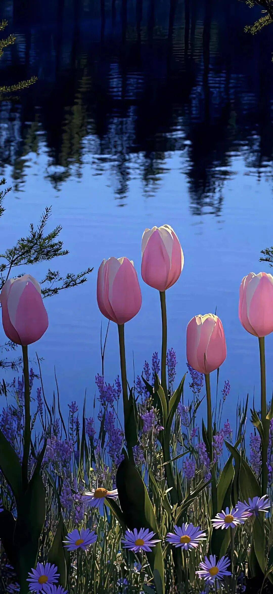 壁纸|唯美高清全面屏壁纸