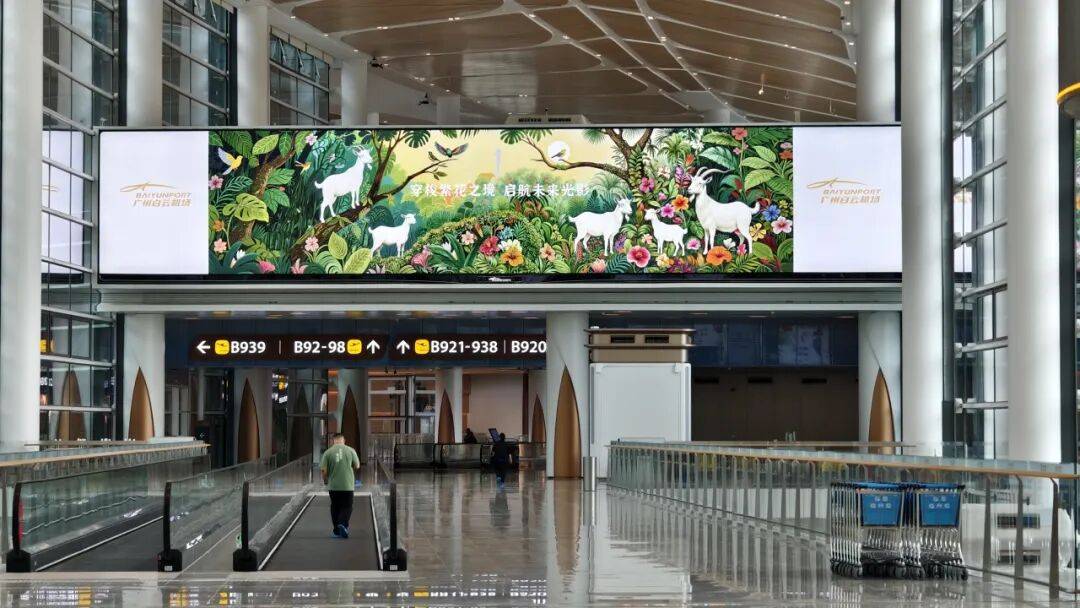 光影织繁花,白云启新程