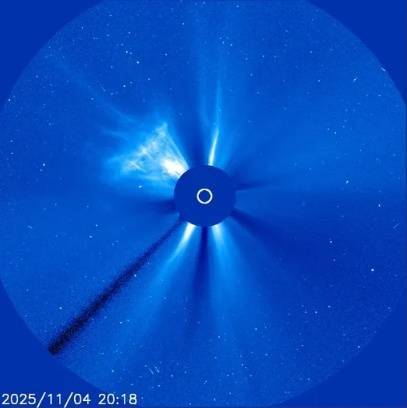 连续爆发!网友:这就是我嗜睡的原因?
