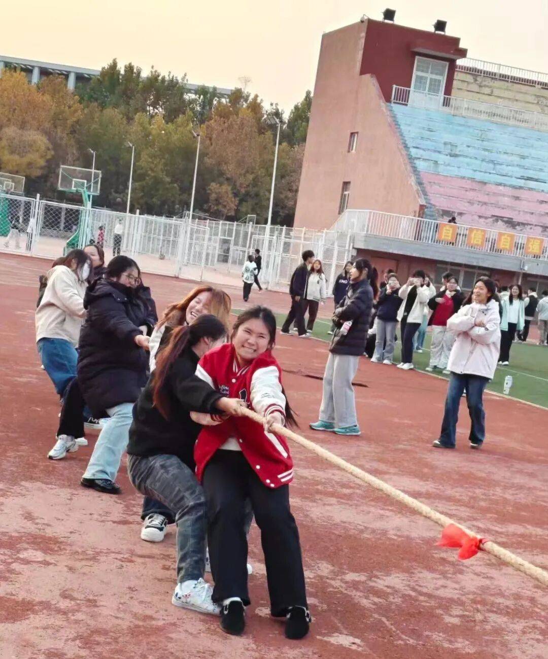 直击拔河现场见证团结的力量
