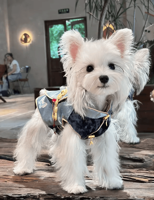 在小众行业偷摸赚钱的年轻人