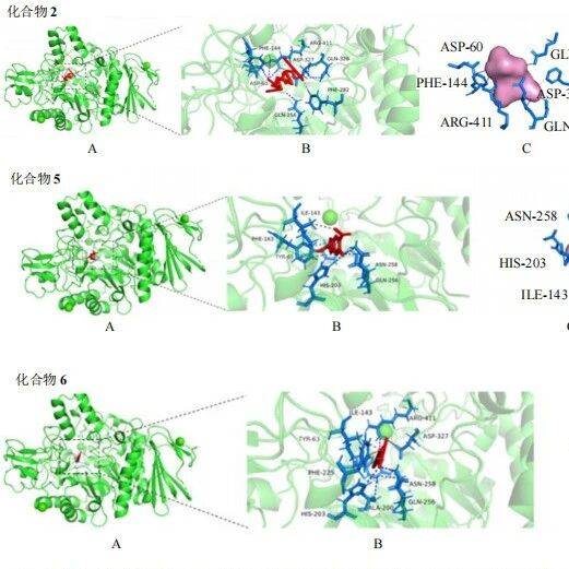 华泽兰中2个新的苯并呋喃类化合物及其活性研究_进行_鉴定_浸膏