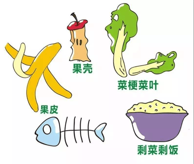 生态环境保护科普知识