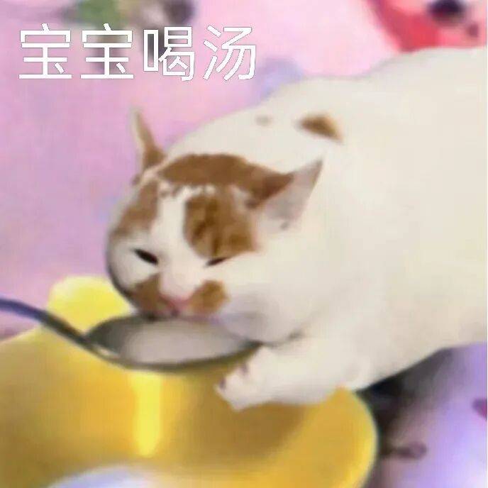 强冷空气来了！广州最低11℃，羽绒可以准备了！