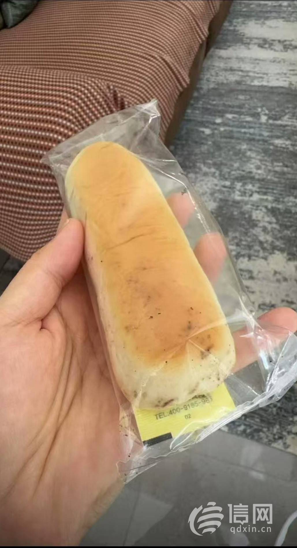 盒马高钙面包棒“高概率”发霉引关注:网友纷纷晒出黑斑照 (图2)