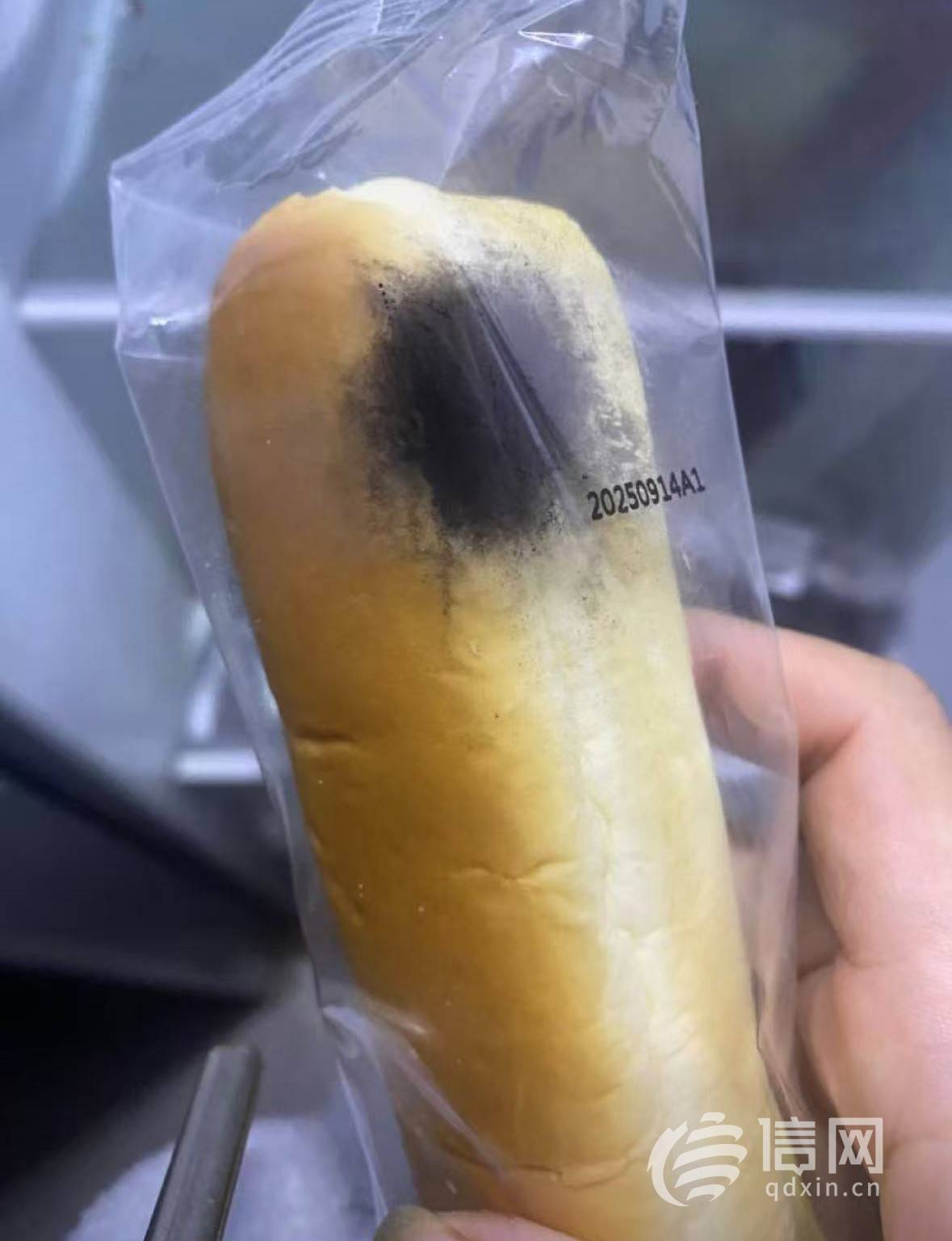 盒马高钙面包棒“高概率”发霉引关注:网友纷纷晒出黑斑照 (图3)