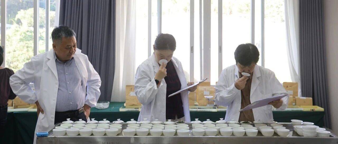 华安2025秋季茶王赛完成评选,数百份优质茶样同台竞技_茶叶_品质_建设