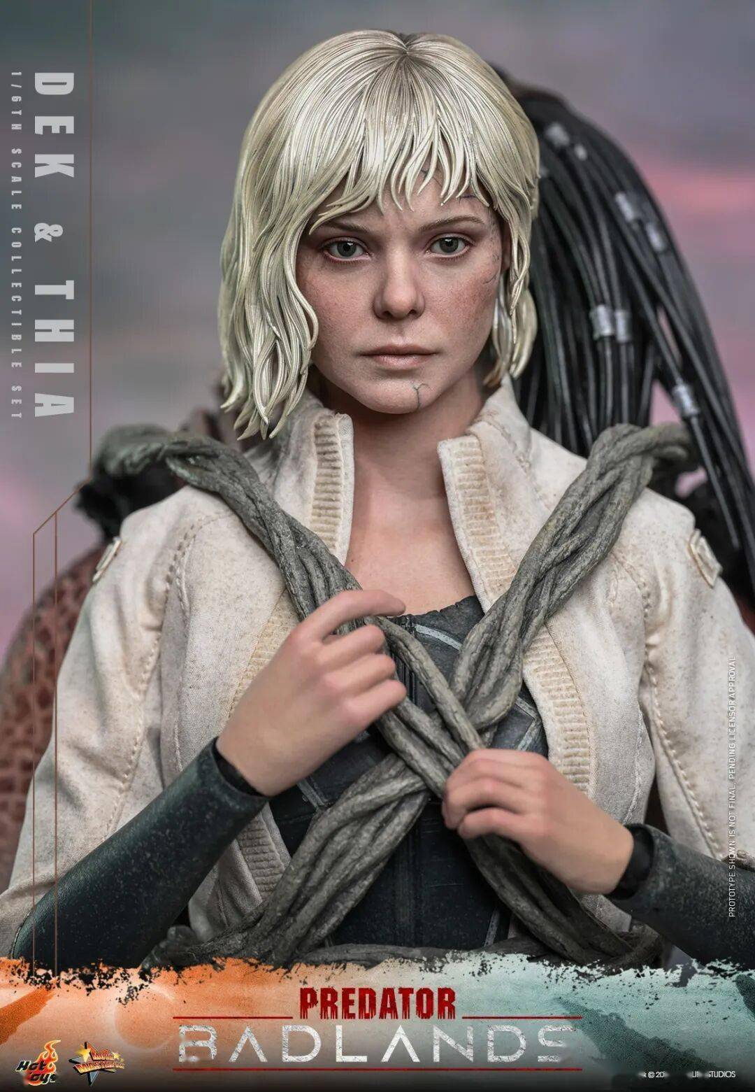 艾丽·范宁表情包