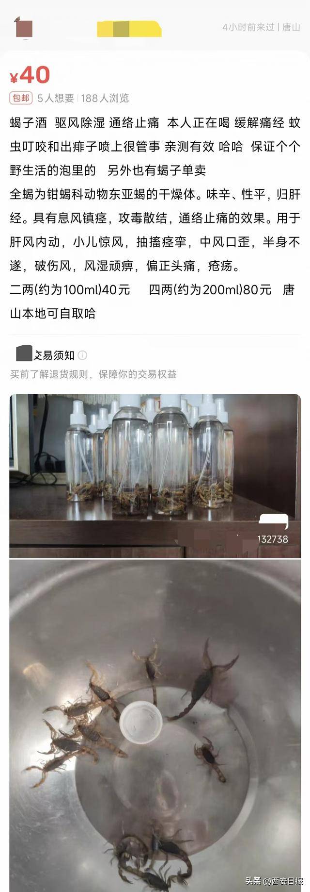 活毒蜂泡酒现身直播间:宣称“根治疾病” 专家提醒中毒风险(图3)