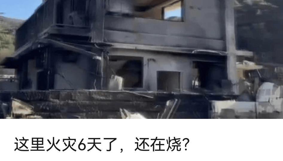 驻日美军基地毒蜘蛛“疑似外溢”