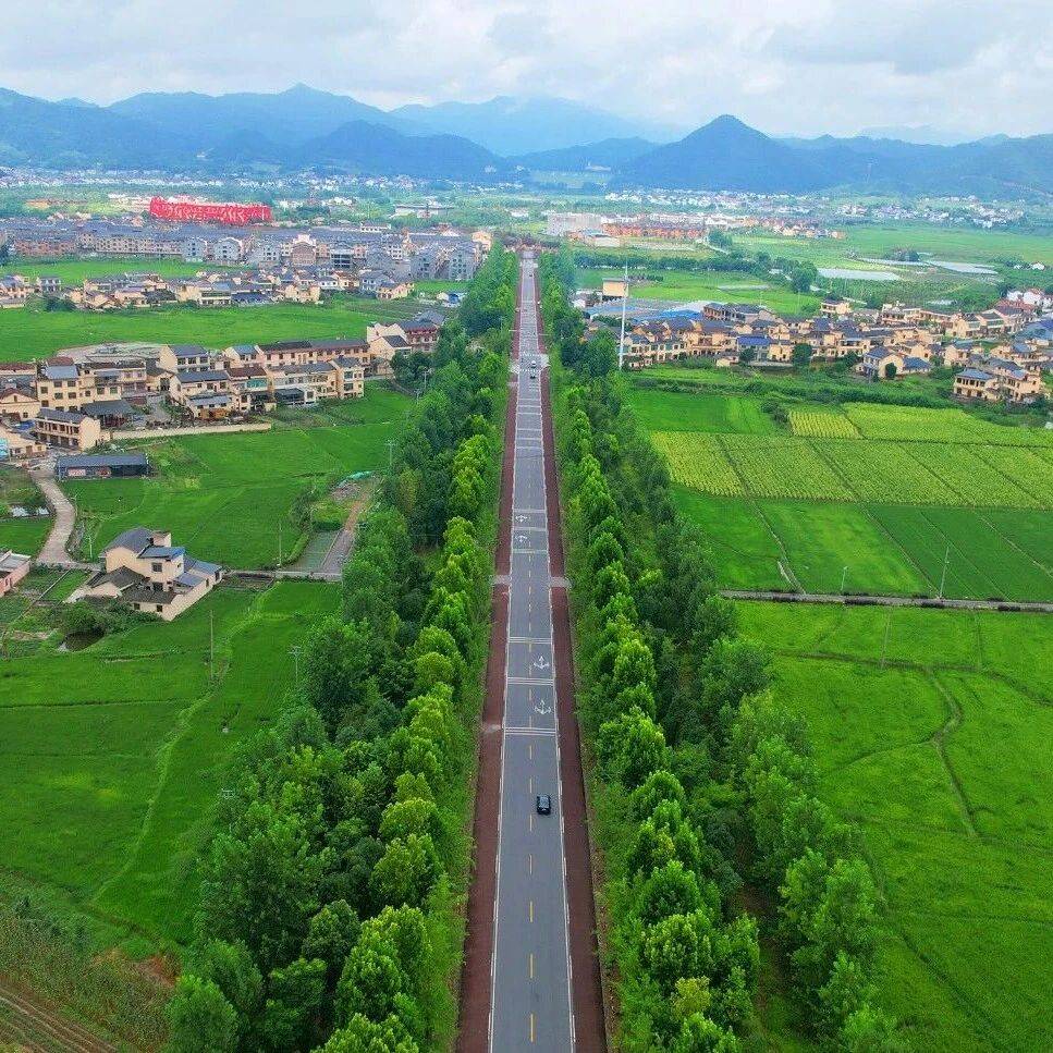 公路青年说丨在路上：看见公路人的赤子之心与铁肩担当_甘为路_敢承_工作