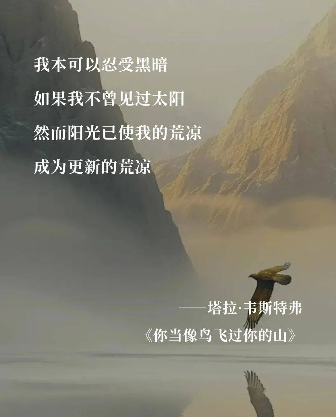你当像鸟飞往你的山教育如何重塑一个女孩的生命