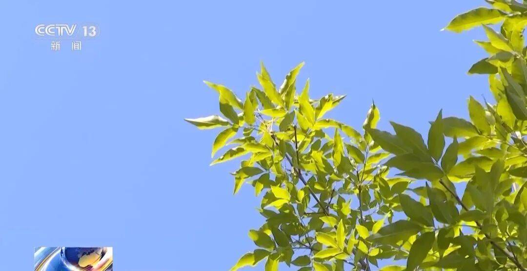 “吸毒记录等将被封存”引热议，权威专家解疑释惑