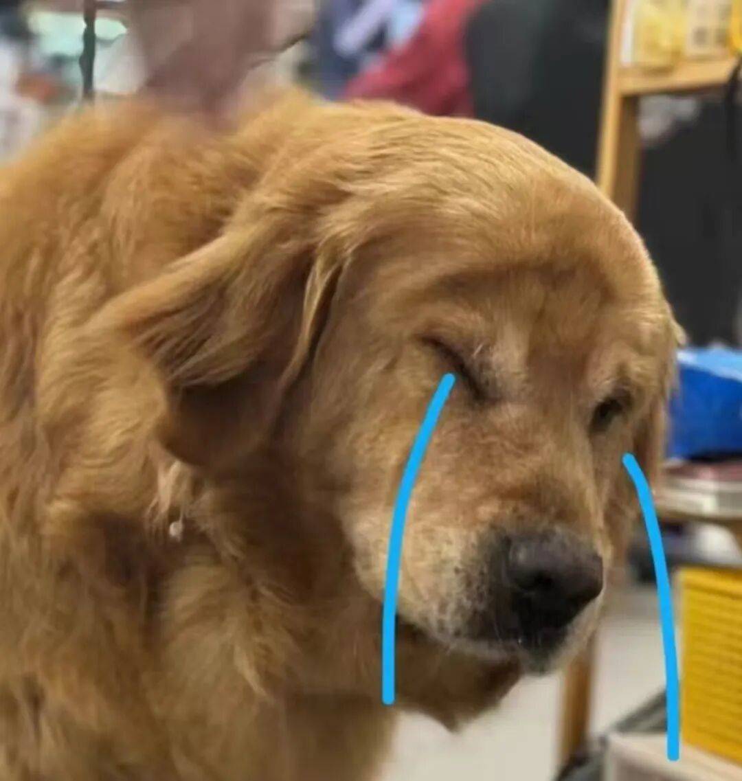 新国标要来了，你可能再也买不到9块9的充电宝了。