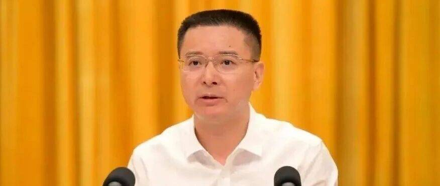 武汉市市长调整_熊征宇_湖北_显示