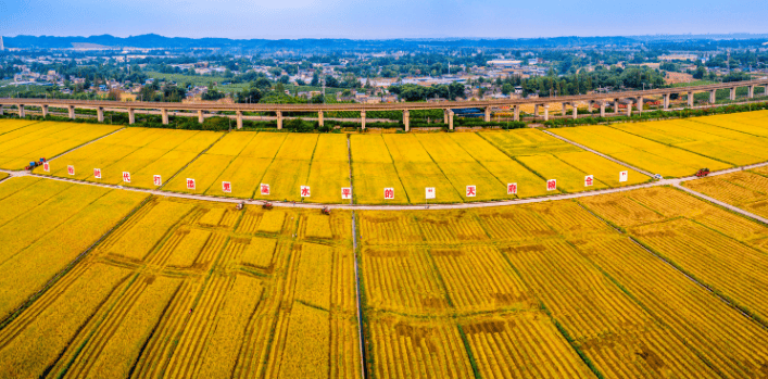 解码“十四五”四川水利“成绩单”