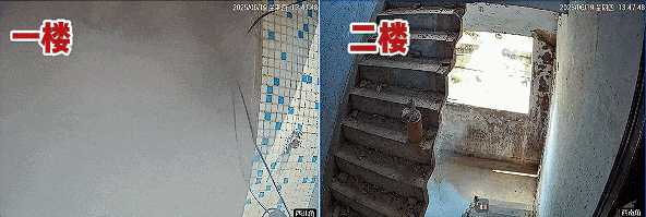 燃烧实测｜新国标“小电驴”毒气少87%，逃生多48秒！