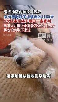 首例！毒死9条宠物狗，65岁男子获刑4年！狗主人：还将起诉小区物业