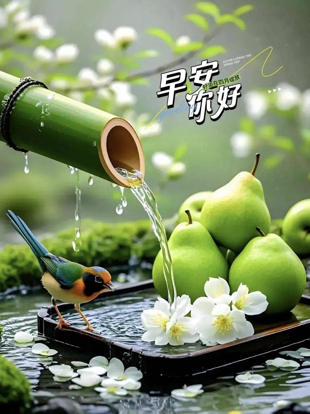 100张秋天早上好最新版早上好图片精选 早安祝福图片带字 漂亮祝福