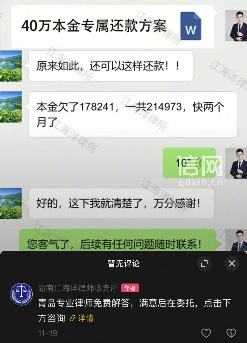 宣传自己是"专业律师" 