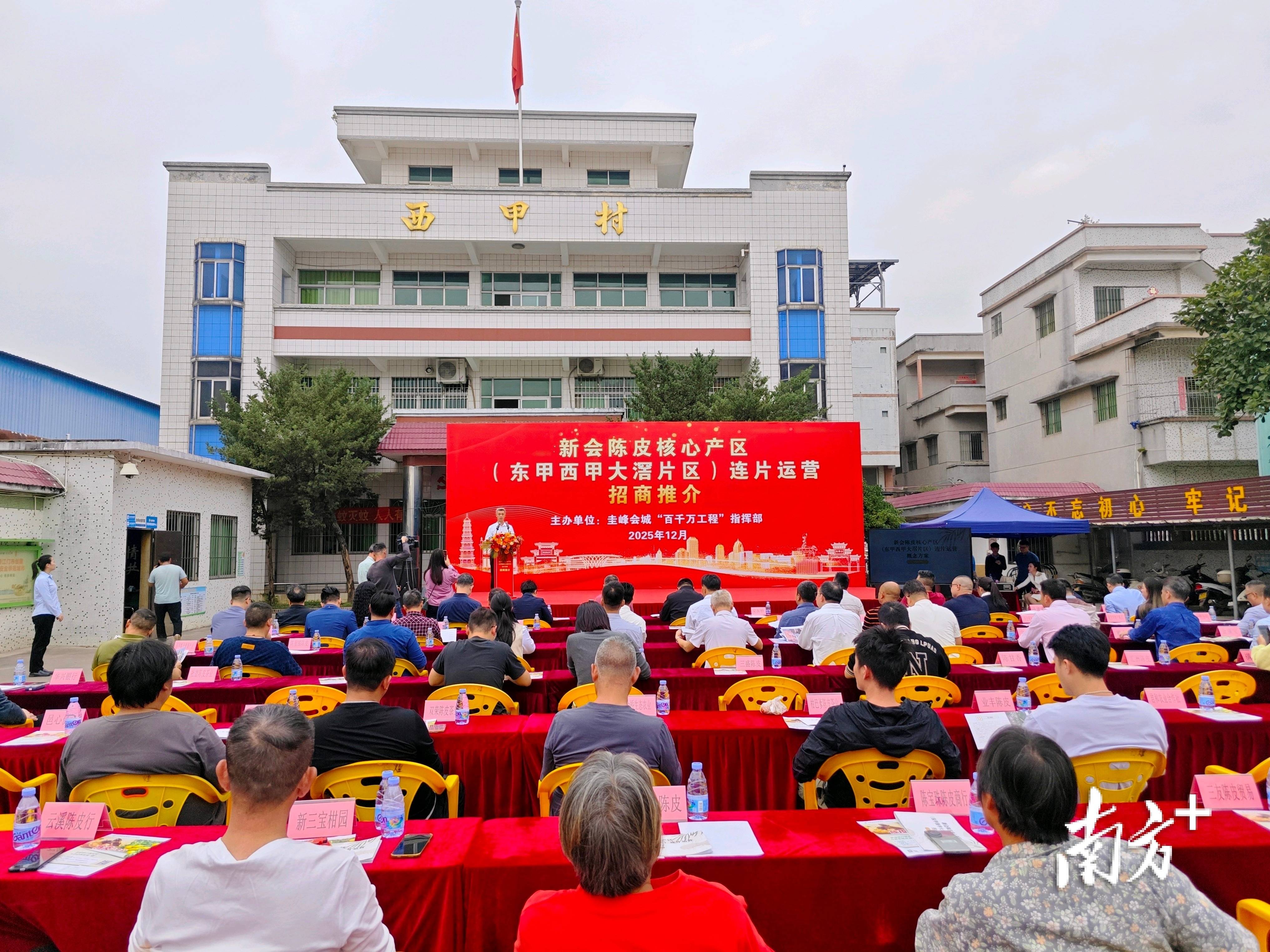 新会东甲西甲大滘“连片招商”,解锁“百千万工程”新副本_搜狐网